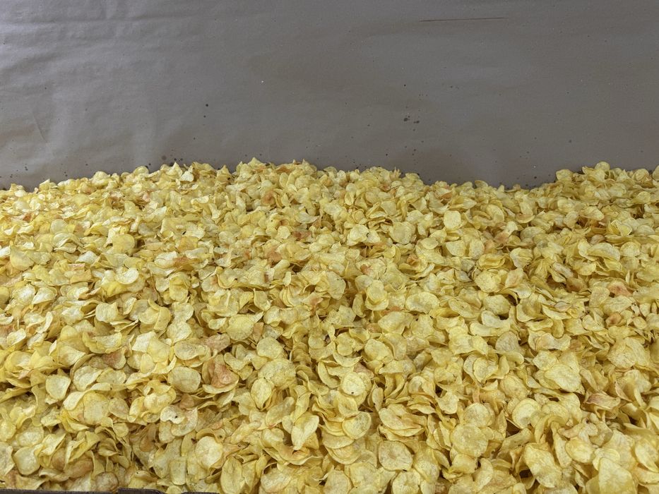 Chips sifato alo darajada yetkazib beriw xizmati mavjud