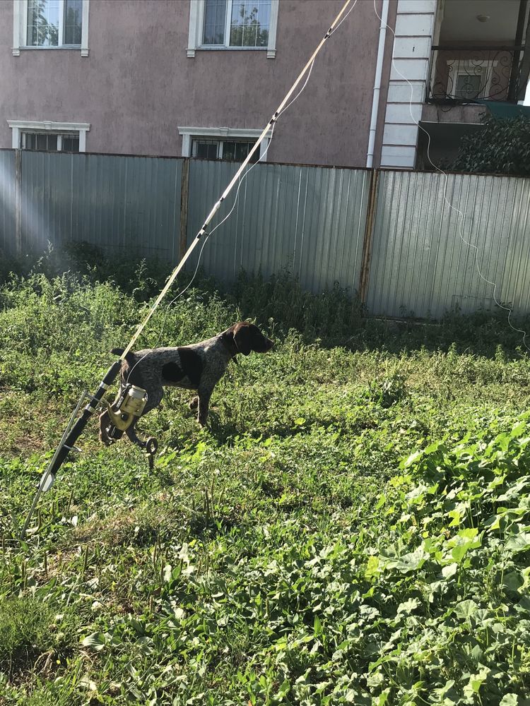 Дратхар 3 месяца