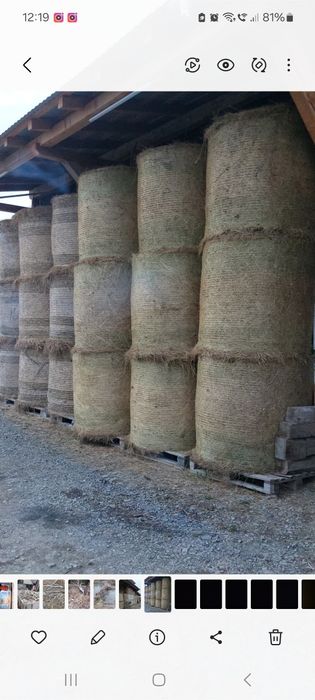 Baloti de fan rotunzi