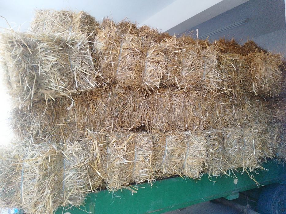 Vând baloți de paie