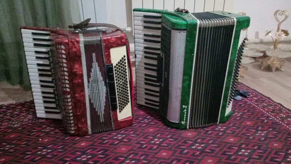 Аккордеон 2 штук