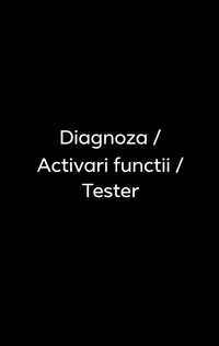 Diagnoza,Activari,Tester Audi/VW/Skoda/Seat VCDS/VAGCOM