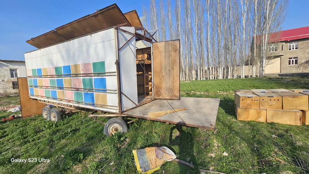 Asalari pavelioni sotiladi