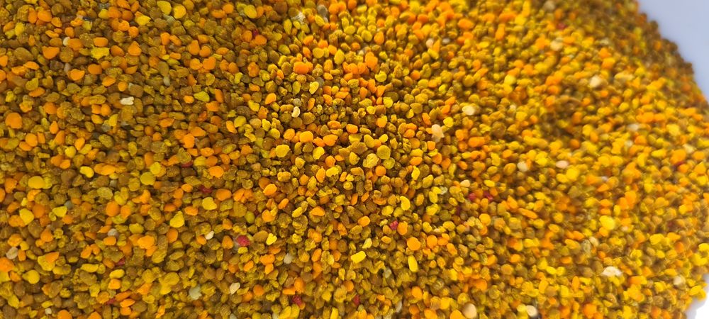 Polen albine poliflor de primăvara (păpădie, p. fructiferi, 2024)