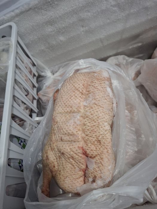 Продам с доставкой мясо утки