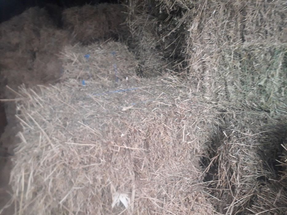 Baloti de fan de vanzare