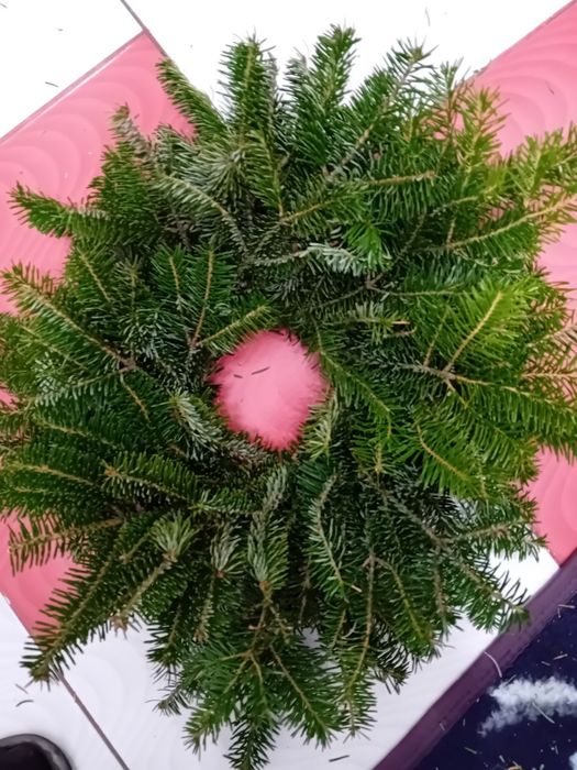 10 coronite brad natural