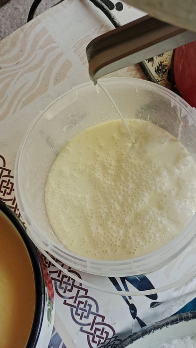 Домашняя сметана, творог, айран, яйцо