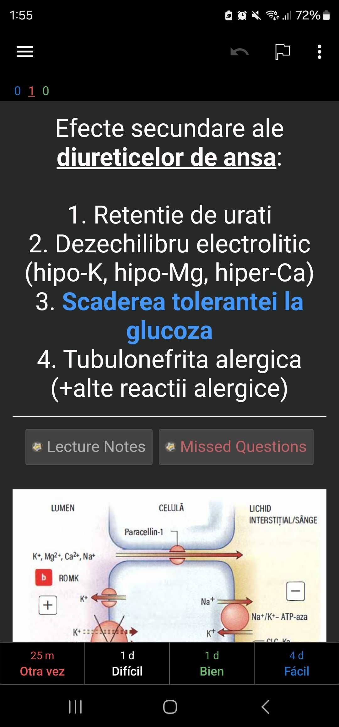 Anki Rezidentiat