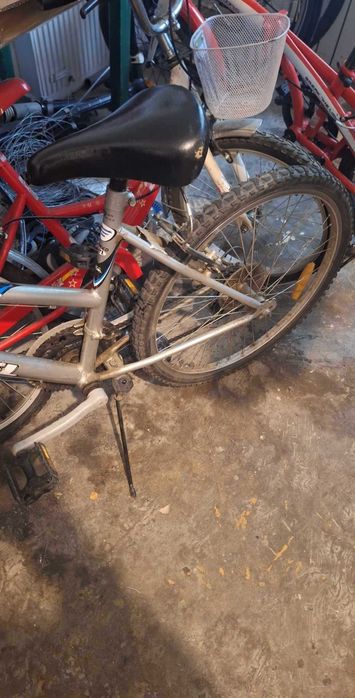 Bicicleta + trotinets