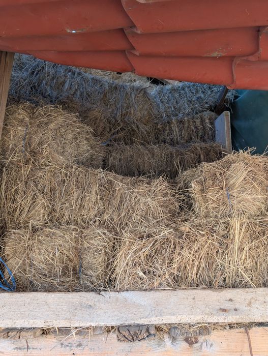 Vând baloți de fân