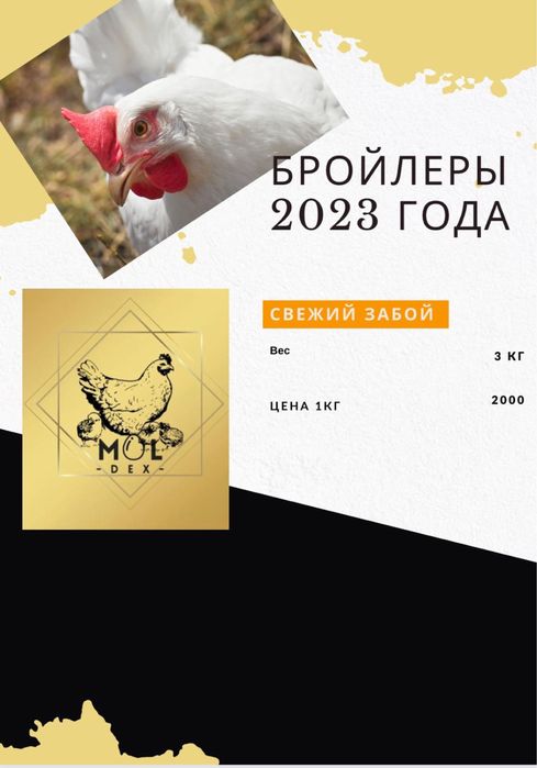 Бройлер этого года.свежий забой