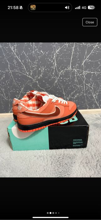 Nike dunk SB lobster orange