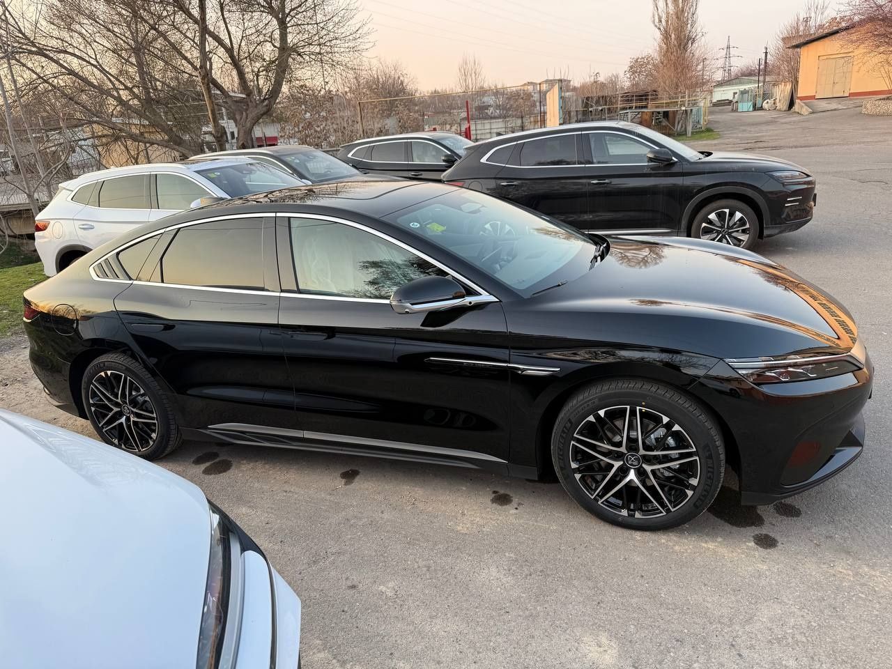 **BYD han ev 701 km  2025 premium model
