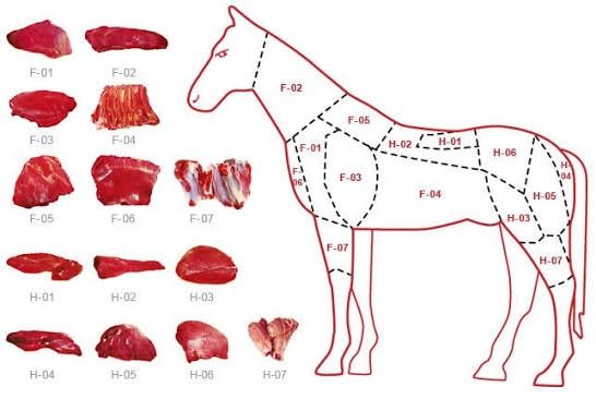Мясо / Туша конины с Семея