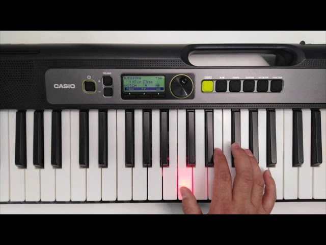 Новый Синтезатор - с обучением и подсветкой клавиш CASIO LK-S250