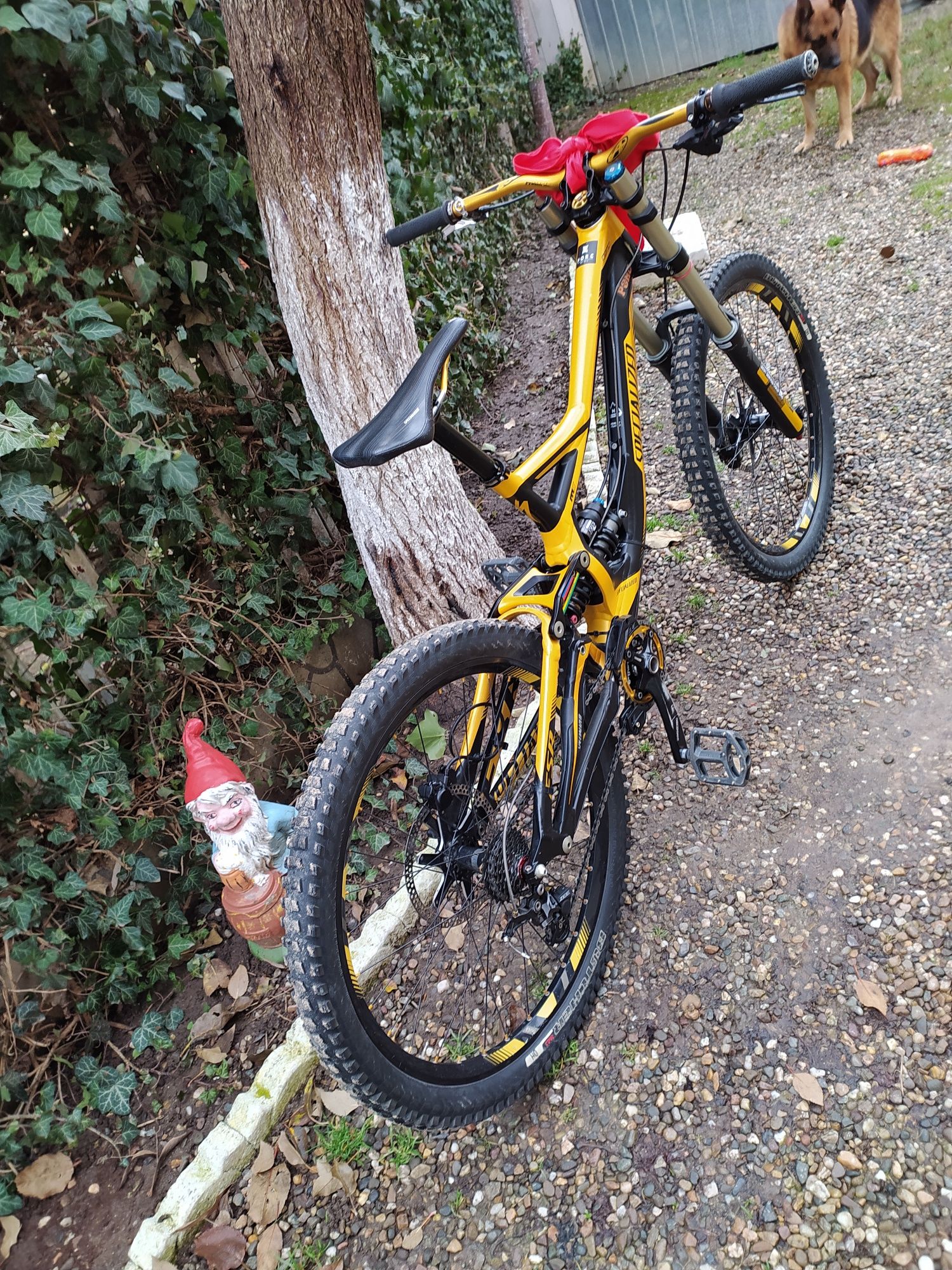 Bicicleta downhill