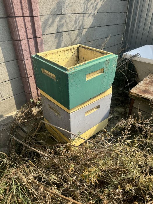 Пчелинные ульи, как есть, самовывоз