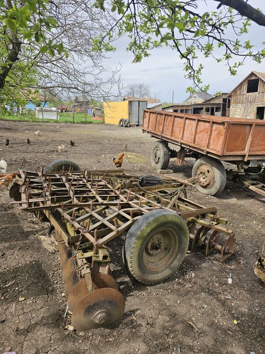 Disc cu grape si Plug