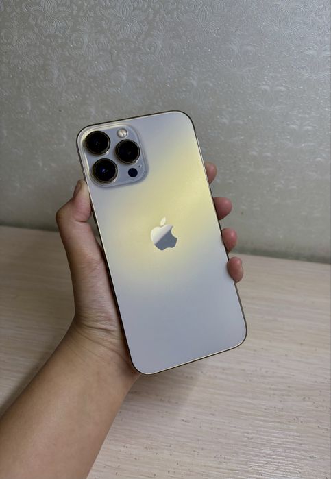 iPhone 13 PRO MAX