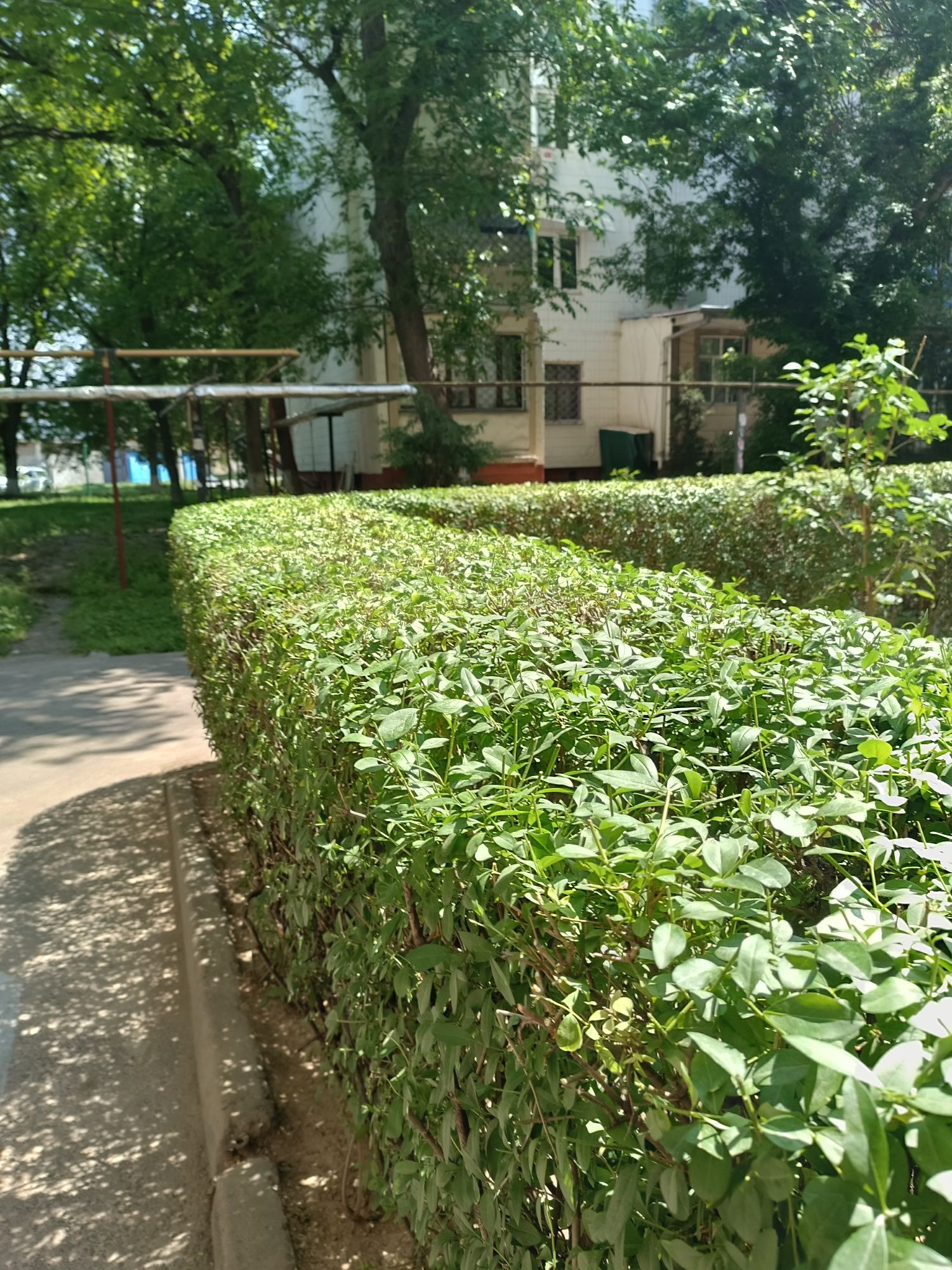 Работа по хозяйству.