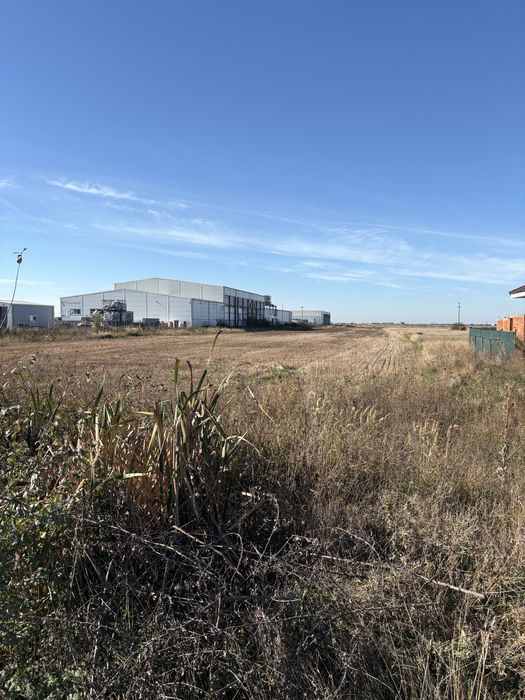 Vind teren la intrare in Apateu