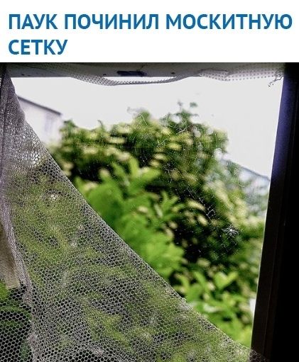 Москитные сетки и маскитная сетка ремонт регулировка окна