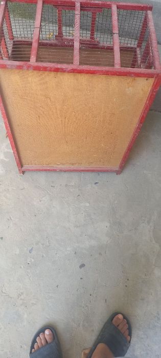 Кушлар учун кафас