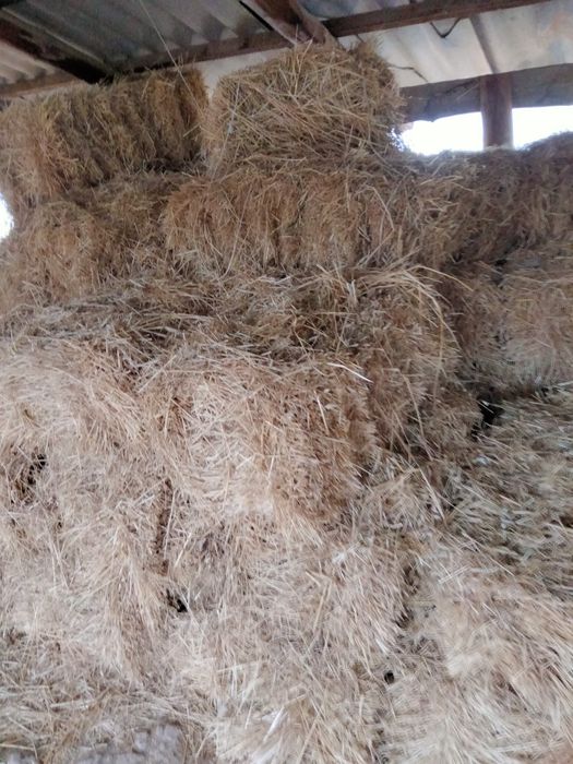 sotiladigan posbonlar bor