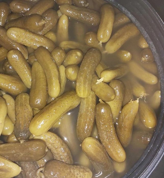 Vând castraveti murați, 8 RON cantitate mare negociabil