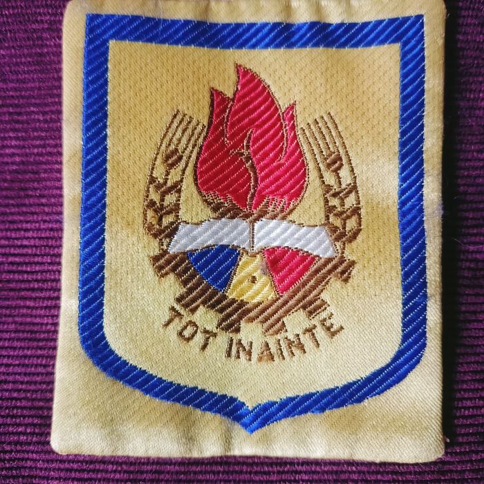 Vechi ecuson pionieresc .