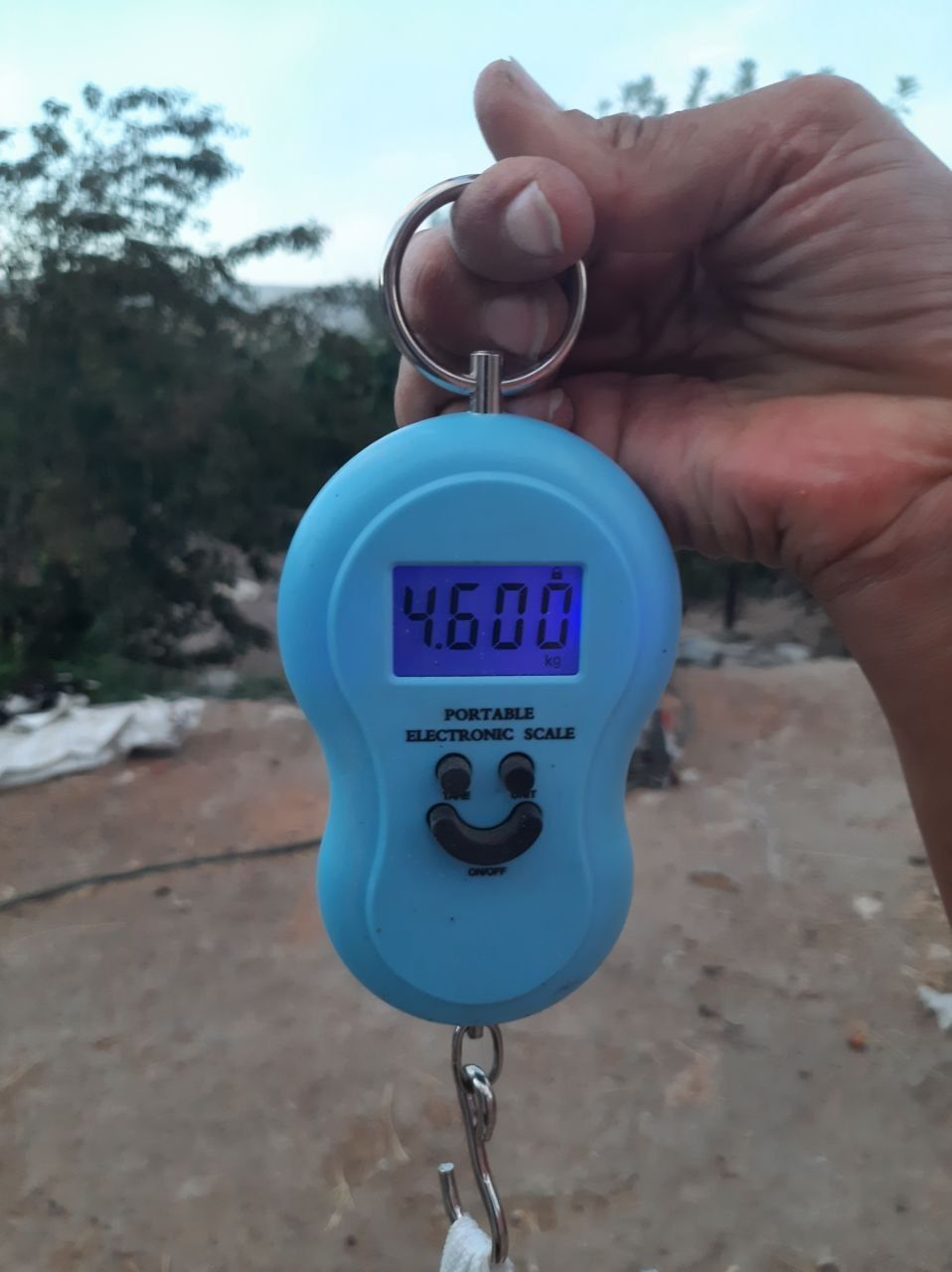 Куенлар сотилади 50дан
