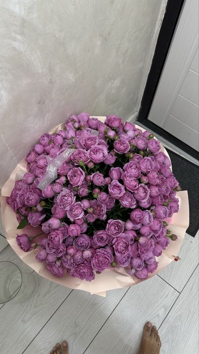 Пионовидные розы 51 очень свежые