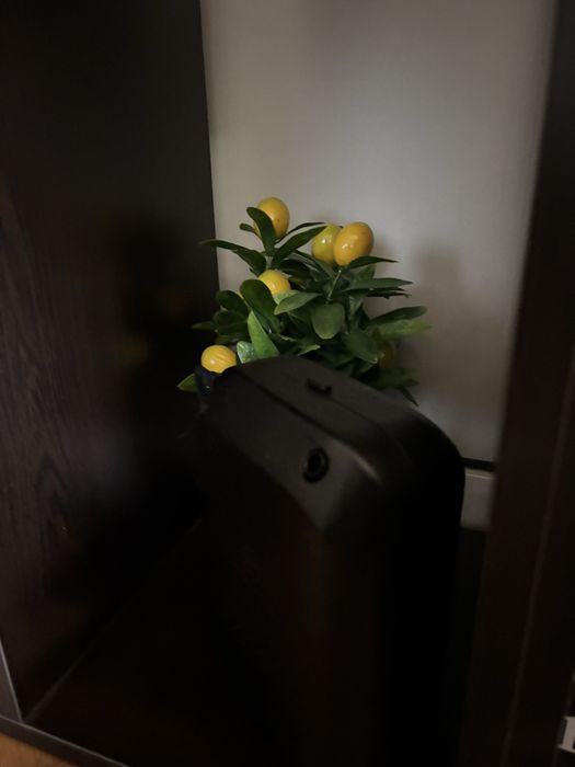 Арома дифузери, работещи с масла (концентрат)