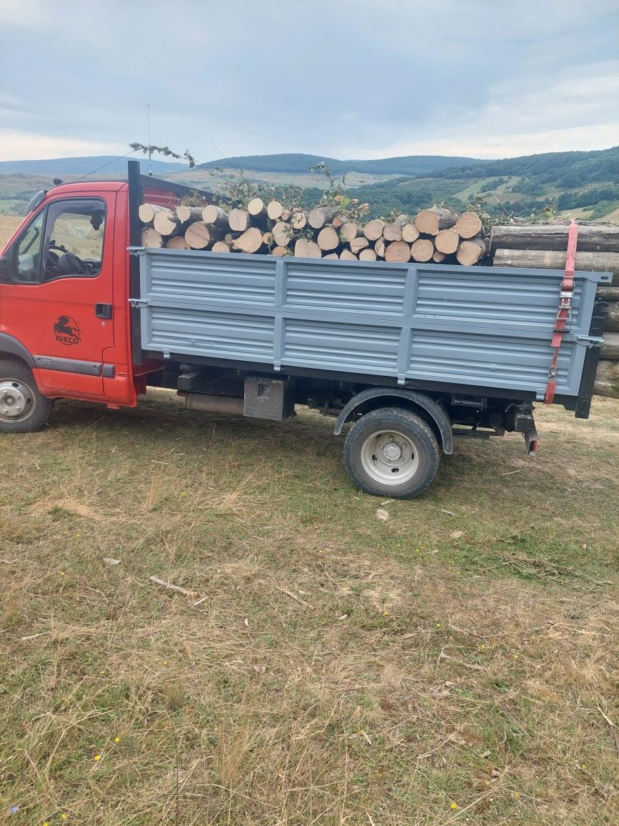 Lemn de foc esenta dorita