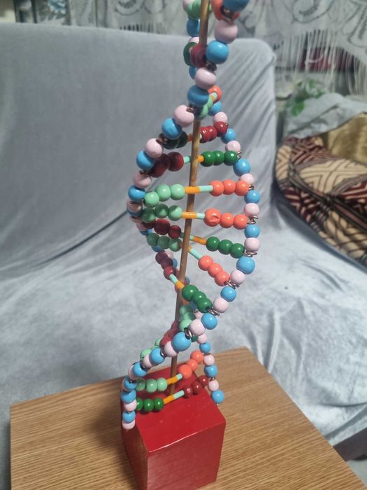 ADN Proiect scoala pentru copii clasa 5-8