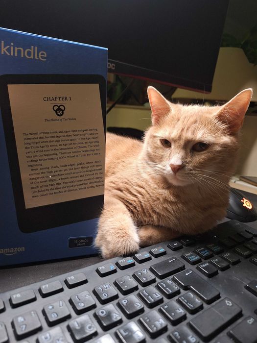 Kindle 11th gen + калъф + опаковките