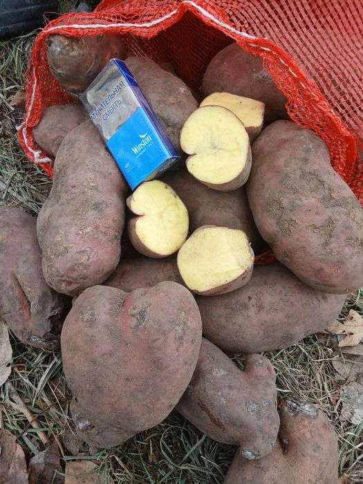 Картофель  2й сорт.