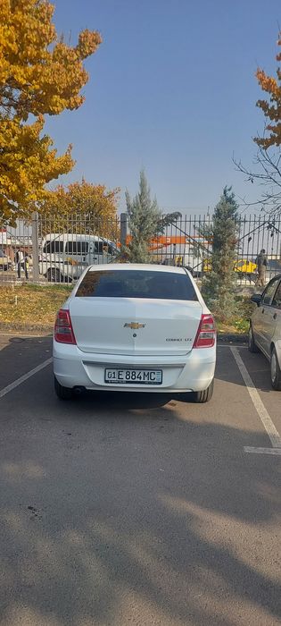 Cobalt 2025 McM Bankga xam sotiladi