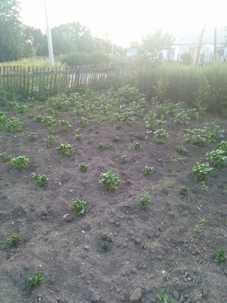 Продается дом в Предгорном
