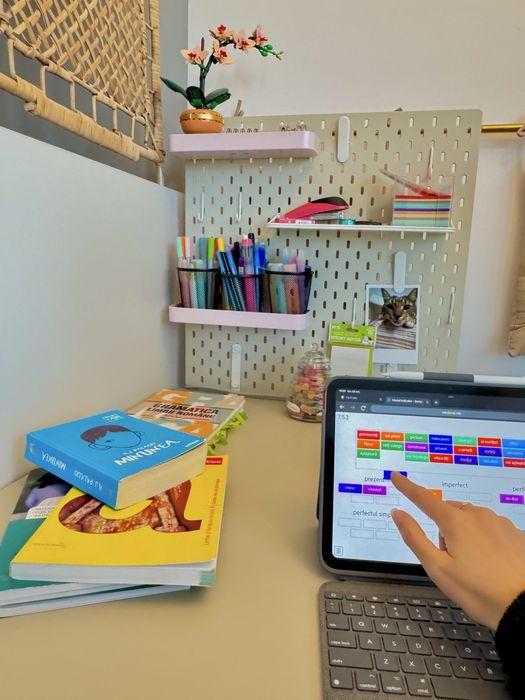 Meditații Limba și Literatura Română