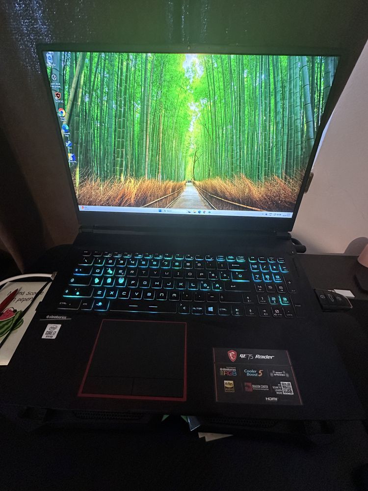 Laptop Gaming MSI GE75 Raider Rtx2080 Super