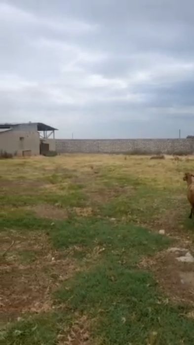 Земля Продается 1.5 Гектар