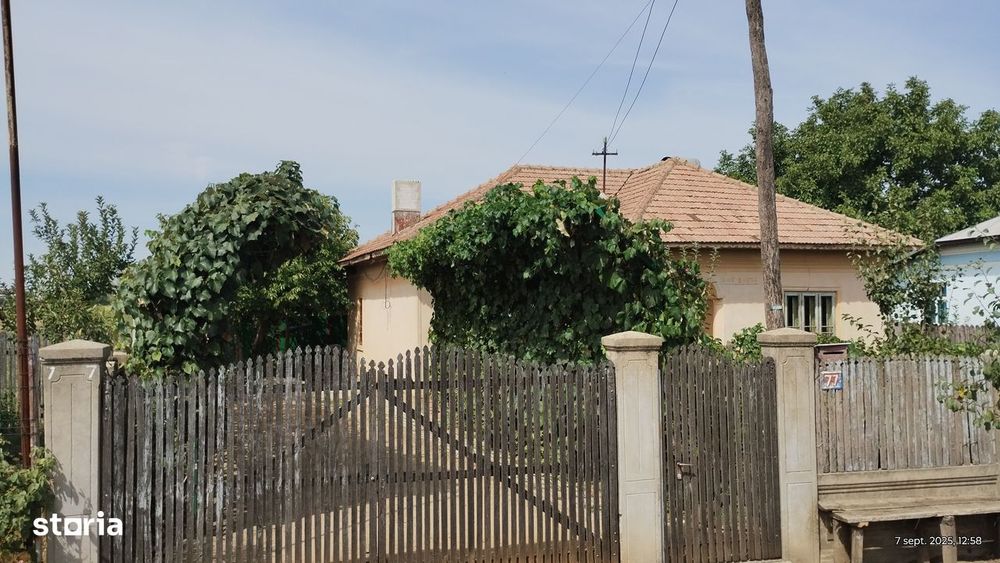 Casa La Tara , Celaru , Dolj