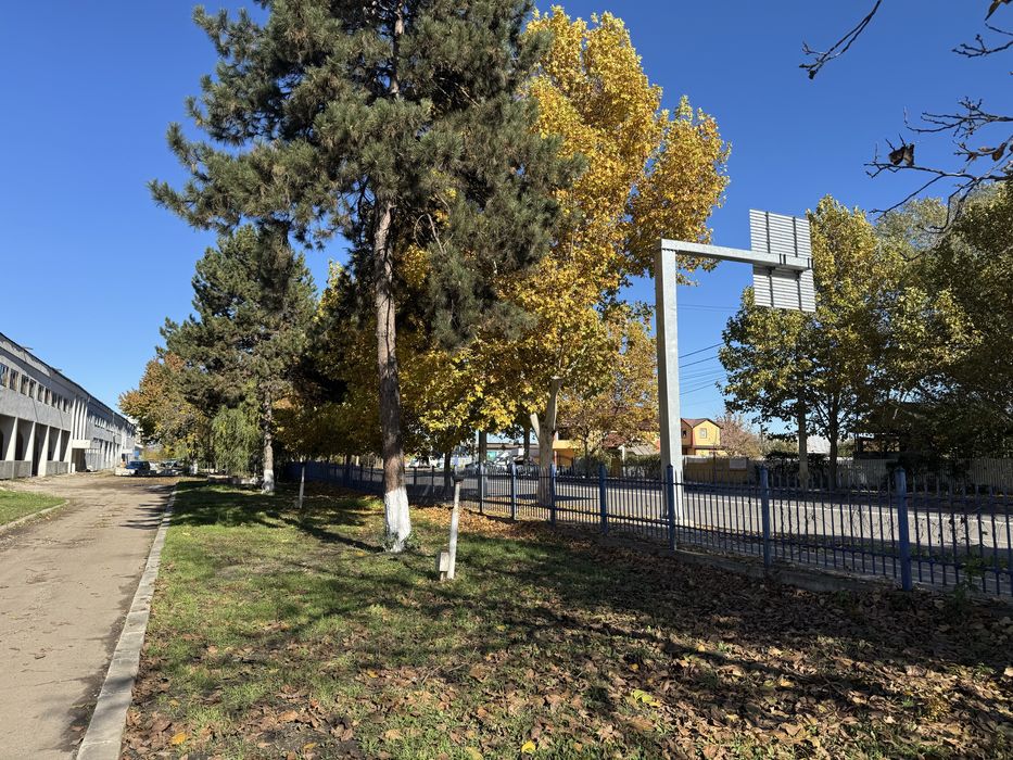 De inchiriat Hale industriale, Magazin