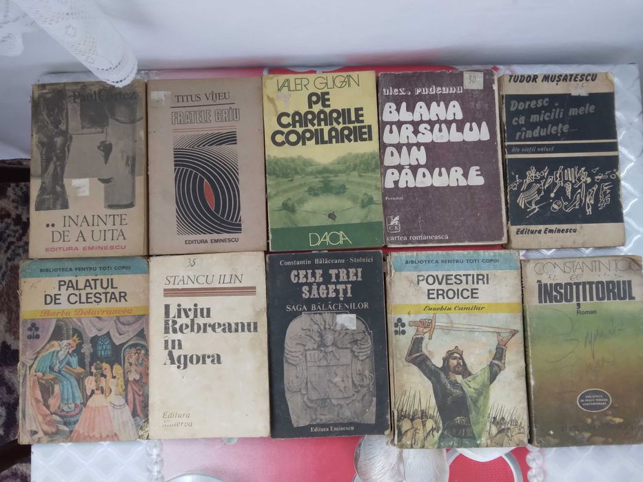 Lot de 10 cărți ieftin la 100 de lei toate