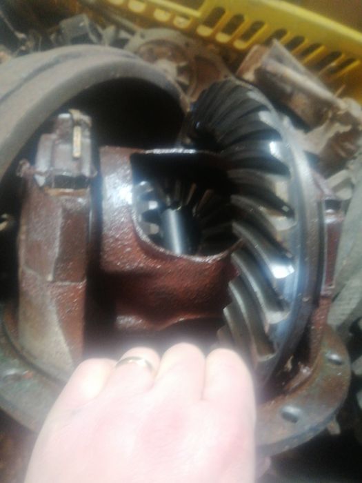 Grup spate aro 24 nou 33 cu 8 colecție