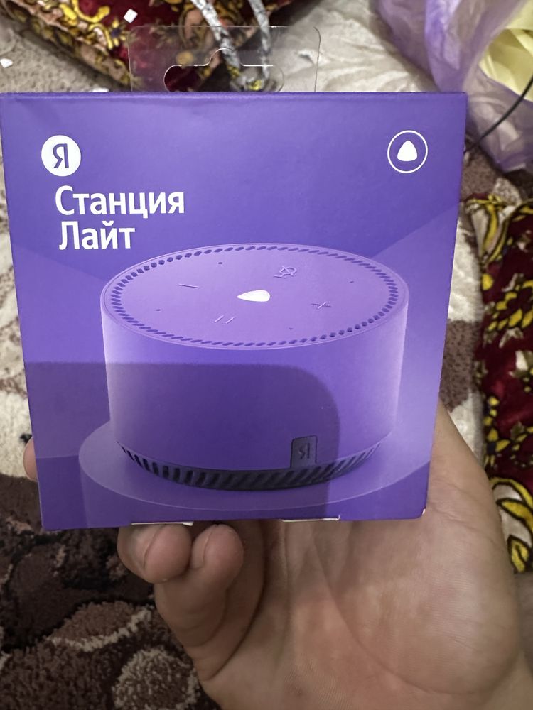 Asila kalonka sotiladi