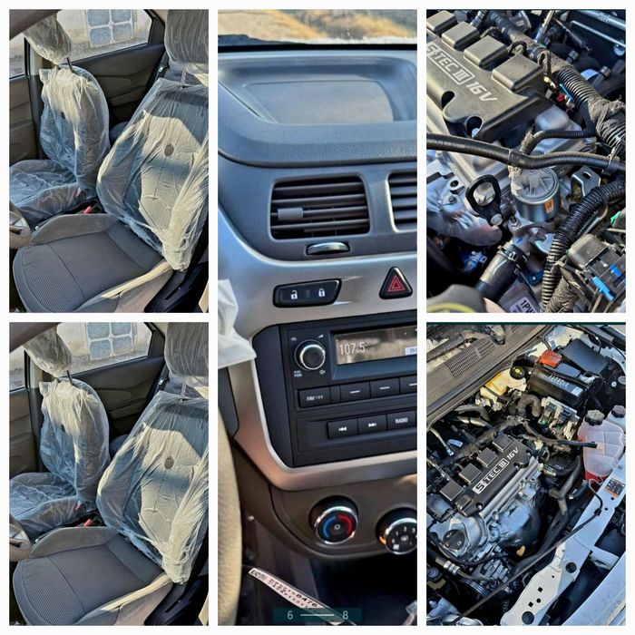 Coblt‼️Notarius Bonus‼️