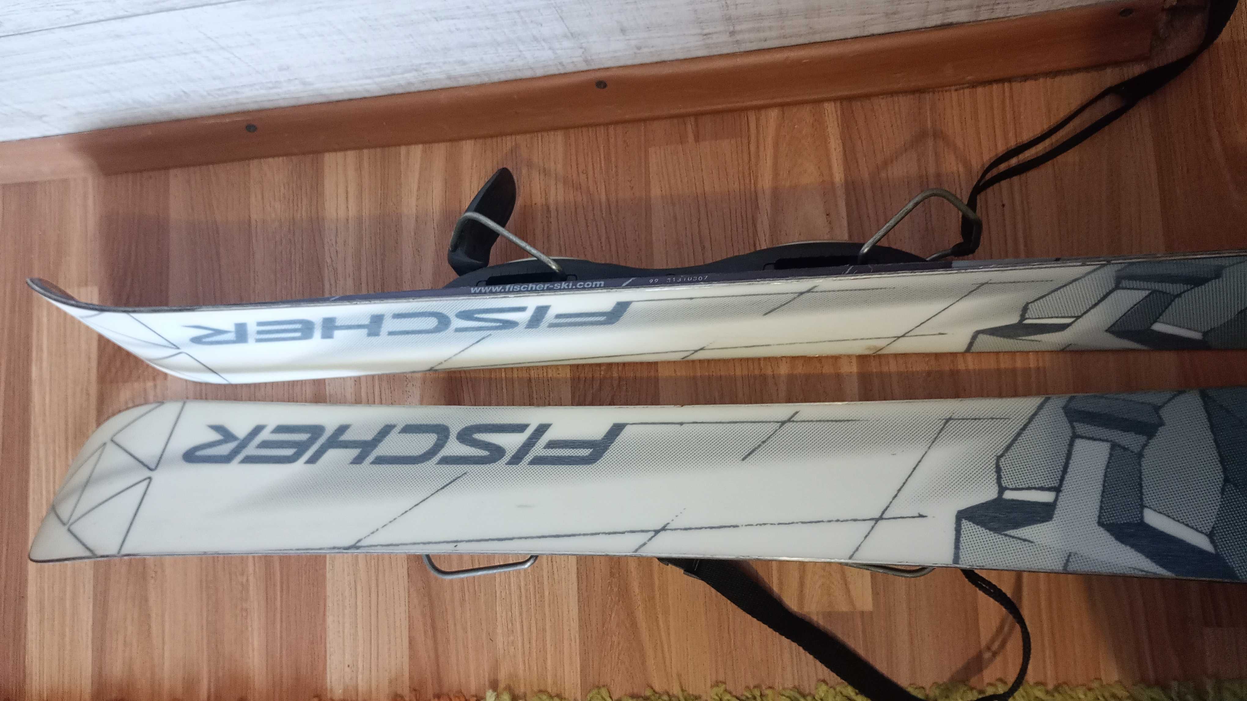 Ski Fischer WEB XXL